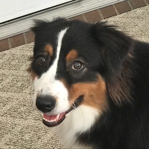 Meet your Posher, Logan